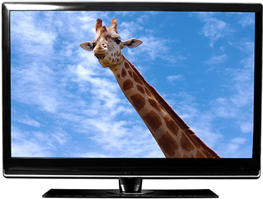Quelle est la différence entre un téléviseur LED et un téléviseur LCD